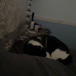 Meet your Posher, Susan